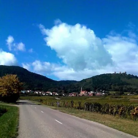 La Terrasse Des Vignes * Voegtlinshoffen