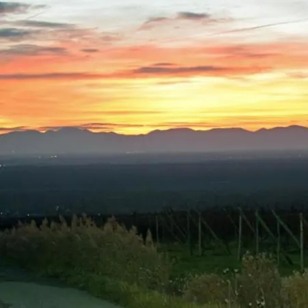 La Terrasse Des Vignes *